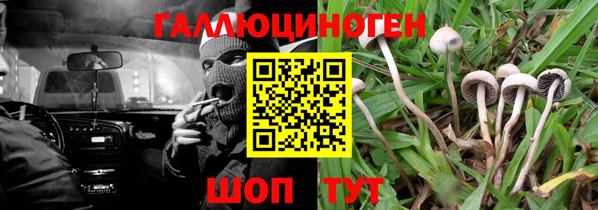 Галлюциногенные грибы Psilocybe  Вход с VPN  Надым 